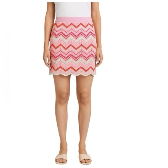 Torn by Ronny Kobo Dresses & Skirts - Torn by Ronny Kobo Medium Chevron Print Scallop Hem Knit Crochet Skirt NEW